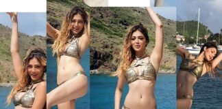 Parvathi Melton Hot Bikini Photos