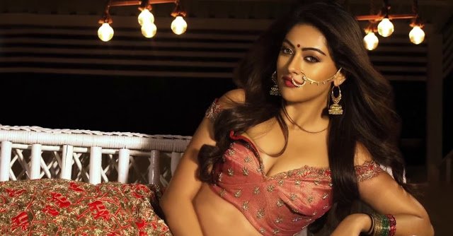 Anu Emmanuel Hot Photoshoot For MSD Fashion Calendar 2017