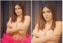 Sherlyn Chopra Goes Topless Photoshoot